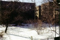 There were two empty lots behind our building, kind of like a backyard. Snow, early 2004.