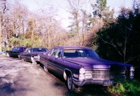 Purple Cadillac limo graveyard.