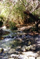 When they talk about an oasis in the desert, this is what they mean.