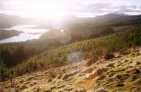 One of the many lochs that dot the Highlands. Simply stunning.