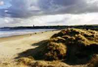 Looking back at St. Andrews from the beach alongside the world's first golf course. The castle is all the way to the left.
