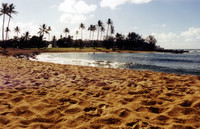 Some other perfect beach in paradise.
