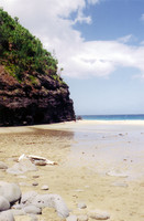 I stopped at this beach with Norm and Aaron in the middle of our day-long hike to a waterfall.