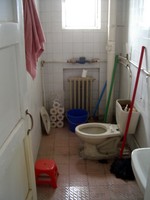The bathroom...not so nice, although we have added a toilet seat recently. My mother requested this one.
