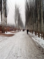 Snowy street in Kasghar near the livestock market.