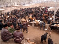 Highlight for Album: Kashgar