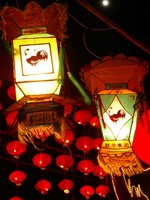 Lanterns...this is the year of the rooster, if you hadn't guessed.