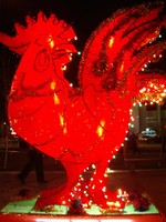 Rooster Lantern!
