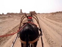 Donkey taxi, ho! Cruising through Gaochang at a respectable pace.
