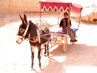 Our ill-mannered donkey taxi driver.