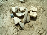 Shards of pottery that we managed to collect over just a few minutes. Gaochang is literally littered with the stuff.