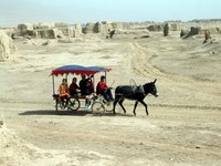 Another donkey taxi goes cruising on by, filled with Uyghur children.