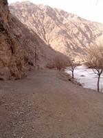 Gazing down the Silk Road.