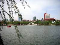 Looking towards the city center from the lake in Peacock Park.