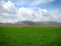 Nice valley, eh? Blue skies, puffy white clouds, green fields, yellow sunflowers.