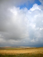 Fields of gold on the way to the Kazakh border.