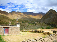 A perfect pastoral setting somewhere near the Yongla Pass on the way to Gyantse.