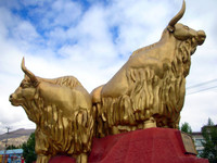 Lhasa's famous yak statues, a few minutes walking west of the Potala Palace.