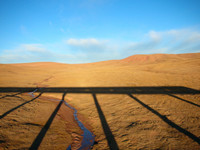 The unique shadow of the train to Lhasa is cast over Kekexili Nature Reserve near the Qinghai-Tibet border.