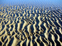 The effects of the tide along the Atlantic coast at Crane Beach, Ipswich, Massachusetts.