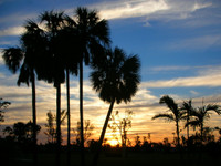 Another postcard Florida sunset.