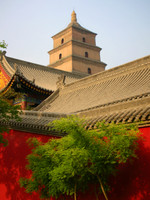 Xian's Big Goose Pagoda viewed over the rooftops of adjacent temples.