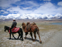 Highlight for Album: The Fodor's Gig: Xi'an to Kashgar