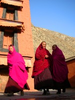A group of young monks circumambulate clockwise around one of Labrang's many temples in a show of spiritual devotion.