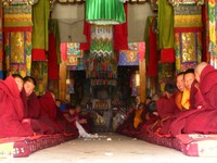 A long row of monks sitting inside Labrang's main temple.