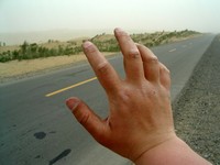 My hands were looking pretty rough from all that dry, windy, sandy driving, but this photo doesn't really capture that too well.
