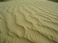 Hey, look! The sand is patterned just like in the movies. Cool, huh?