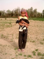 I drove through a number of increasingly green Uyghur farm communities. This girl was taking care of a flock of sheep, especially the baby lamb in her arms.