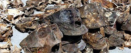 121 skulls found in Gansu Province... where did they come from?