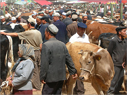 Kashgar livestock bazaar.
