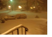 Snow. West orange, NJ. January 23, 2004.