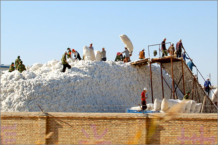 A huge pile of cotton at a collection station in Xinjiang.