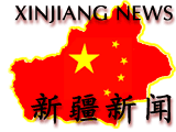 Xinjiang News for 2006.11.02